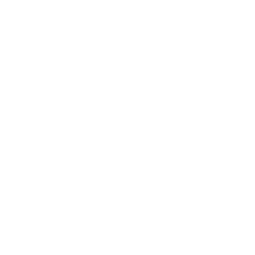Accent Roofing home
